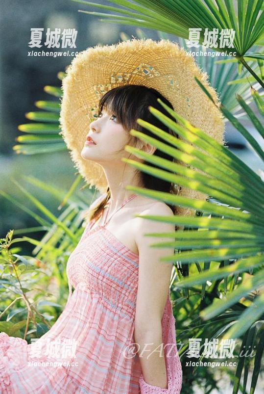 有趣的定制图集：发条少女yoki和桔梗的麻烦