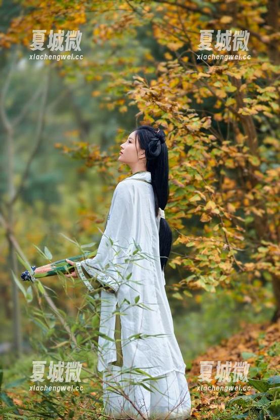 图片纪录：年年Nnian带你嗨翻全套圣诞，怎样都不嫌多的节日神器！
