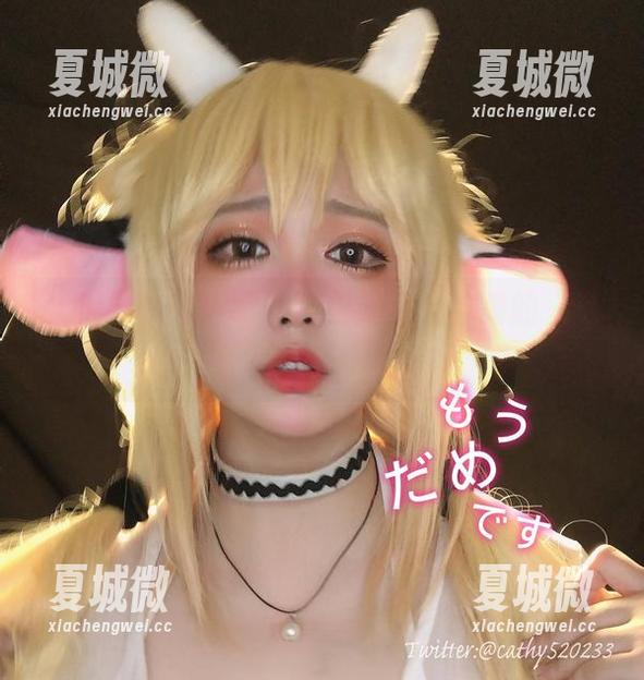 大凤带你飞！椒妮佐仁无圣光合集的“进击”